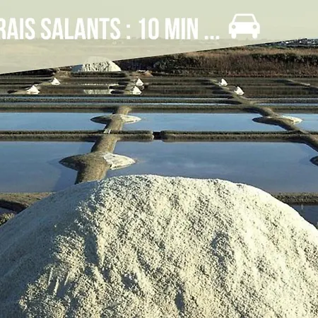 Lutin Des Marais - * Le Croisic
